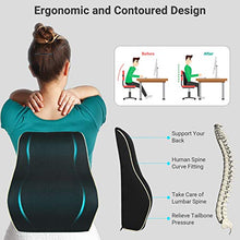 Load image into Gallery viewer, AELP02 Lumbar Pillow, Memory Foam Back Cushion with Breathable Mesh Cover
