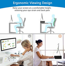 Load image into Gallery viewer, AELL1 Monitor Riser Stand - 16.5 Inch Desk Organizer Stand
